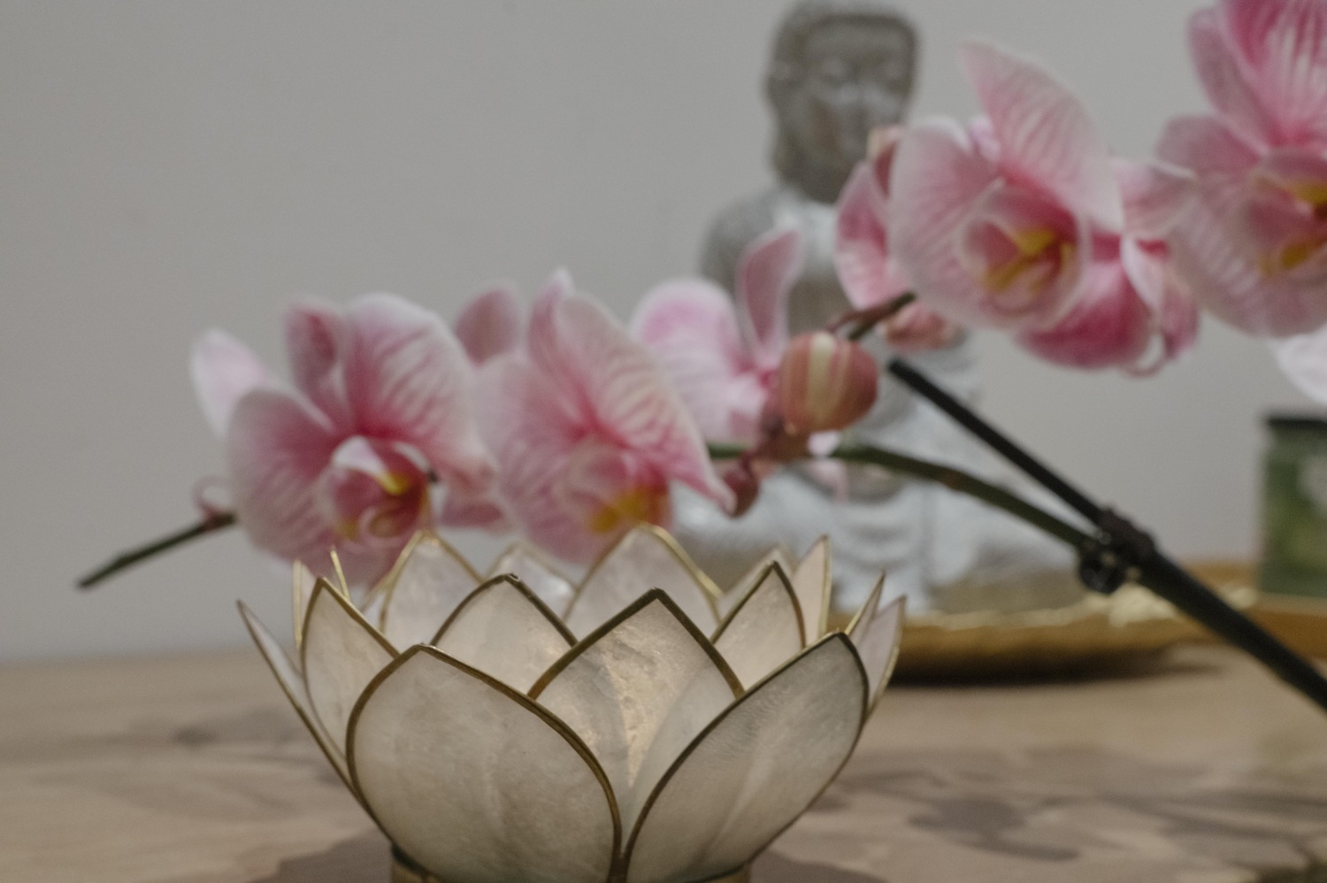 salon-massage-toulon